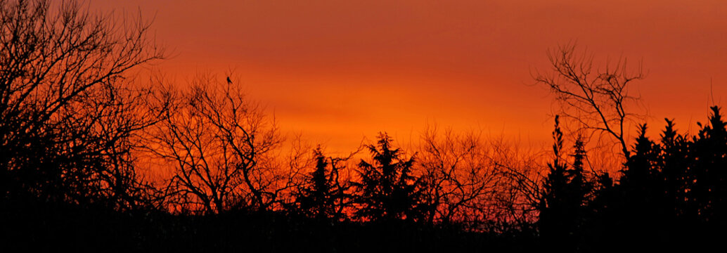 Coucher de soleil sur Chassieu en France