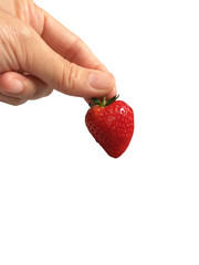 Hand picked strawberries Incomplete results Will be sorted out on the White Background.