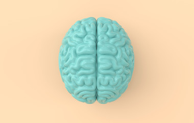 3d brain rendering illustration template background. The concept of intelligence, brainstorm, creative idea, human mind, artificial intelligence. Top view