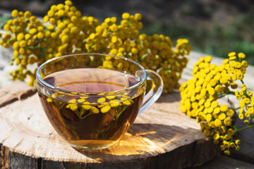 Tansy infusion in a glass cup and yellow tansy flowers on a wooden table. Tansy Herbal tea. Healing herbs.