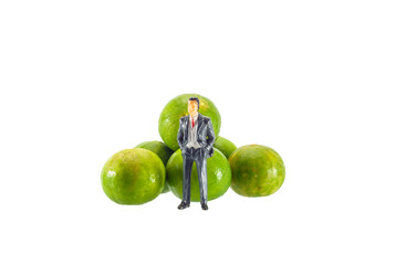 lemon with miniature business
