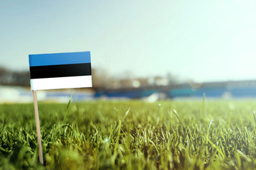 Miniature stick Estonia flag on green grass, close up sunny field. Stadium background, copy space for text.