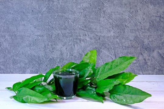 Fresh organic Bai Ya Nang (Tiliacora Triandra, Yanang) juice in a glass on white table decorated with leaves on cement background.