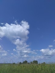 green field and blue sky
