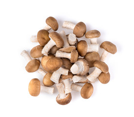 Fresh champignon mushrooms isolated on white background. top view