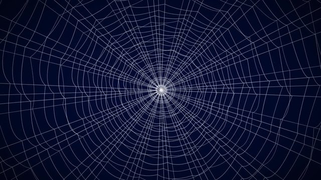 concentric white web on a blue background