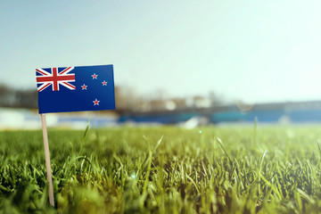 Miniature stick New Zealand flag on green grass, close up sunny field. Stadium background, copy...