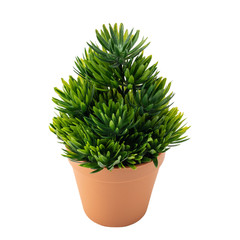Artificial spruce plant in pot like real isolated on white background
