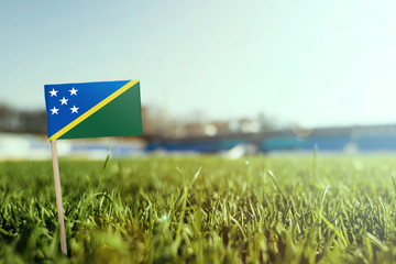 Miniature stick Solomon Islands flag on green grass, close up sunny field. Stadium background, copy...
