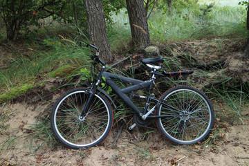 Fototapeta na wymiar bike near a tree in the forest, bicycle travel, bike in the foreground