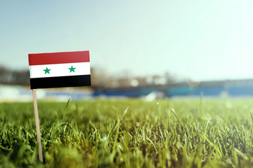 Miniature stick Syria flag on green grass, close up sunny field. Stadium background, copy space for...