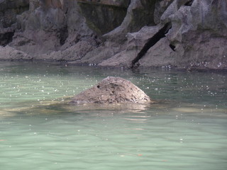 Rock surrounded by water in Halong Bay, Vietnam