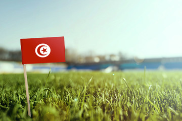 Miniature stick Tunisia flag on green grass, close up sunny field. Stadium background, copy space for text.
