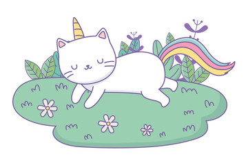 Unicorn cat cartoon vector design