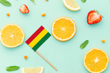Bolivia Paper Stick Flag. National summer fruits concept, local food market. Vegetarian theme.