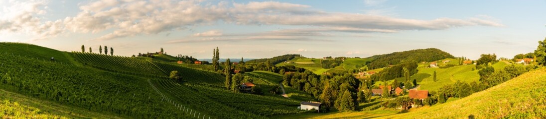 Fototapeta na wymiar Panorama view of Vineyards in summer in south Styria, Austria tourist spot, travel destination.