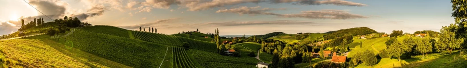 Foto op Plexiglas Panoramamening van wijngaarden in de zomer in Zuid-Stiermarken, de toeristenvlek van Oostenrijk, reisbestemming. © Przemyslaw Iciak