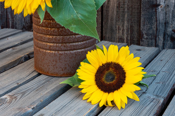 A sunflower next to a rusty can on a wooden plank table.