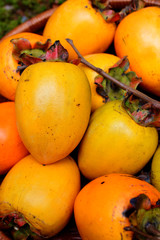 Japanese persimmons in Bamboo basket on mossy ground