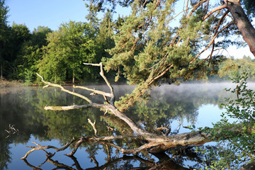 Morgenstimmung am Pfaffensee in Stuttgart
