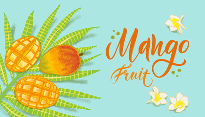 Hand drawn textured mango, flowers and leafs on blue background.  Colorful vector flat lay food illustration for healthy food cafe, restaurant, fruits and grocery market
