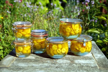 Glass jars with pickled ripe yellow plums. Homemade Preserved food in jar, fruit compote on rustic wooden table on garden flower background. Selective focus. 