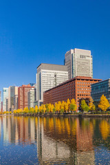 Fototapeta na wymiar 紅葉の街路樹と丸の内ビジネス街　東京