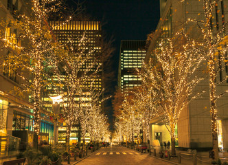 イルミネーションの丸の内　東京