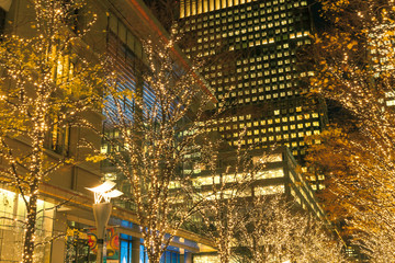 イルミネーションの丸の内　東京
