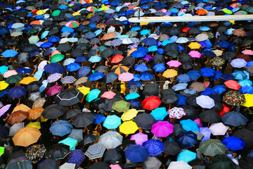 thousands of umbrella in causeway bay hong kong in rainy day