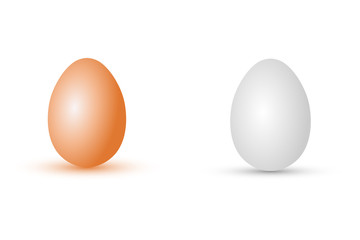 Realistic chicken eggs. Vector drawing. Vertical view. Isolated object on a white background. Isolate.