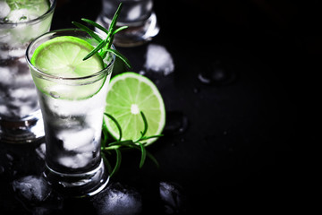 Classic gin tonic cocktail with lime, ice and rosemary. Vintage bar, evening atmosphere, bar tools