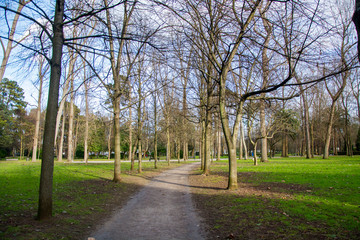 Park detail 101
