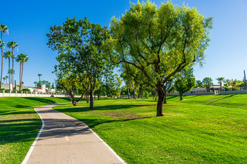 A path on the greenbelt in Scottsdale