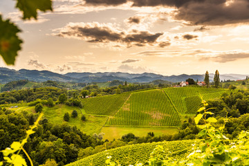 Fototapeta premium Austria, south styria travel destination. Tourist spot for vine