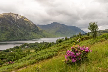 Scottish landscape, glenfinnan 