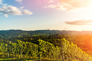 Austria, south styria vineyards travel destination. Tourist spot for vine