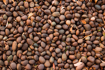 Brown sea stones background decorated in the garden wall  