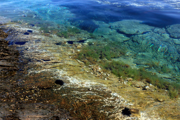 Colorful underwater sea world and black urchins in calm, translucent shallow water
