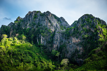 Fototapeta na wymiar Mountain in Tropical Forest (Noen Maprang, Thailand)