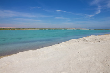 Fototapeta na wymiar Sea beach landscape, Abu Dhabi Emirate, Sir Bani Yas island