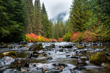Calm colorful autumn view. Frozen water and shiny stones in river. 
