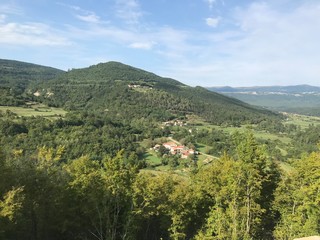 Fototapeta premium landscape with mountains and trees