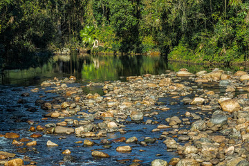 River in the rainforest with rocks and water reflections