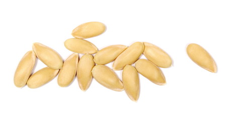 Pile melon seeds isolated on white background, top view