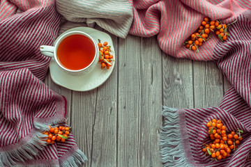 A Cup of hot tea, sea buckthorn berries and a wool scarf on a dark wooden background. Autumn concept.