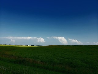 green field and blue sky distant storms