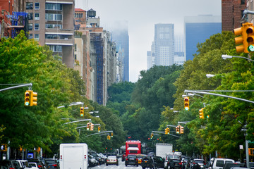 Manhattan buildings skyline from 5th ave. Harlem in a foggy day, through the trees and traffic...