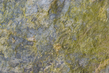 Rock with rough surface and green lichens as background