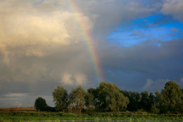Fototapeta na wymiar Beautiful summer landscape with a rainbow in the sky